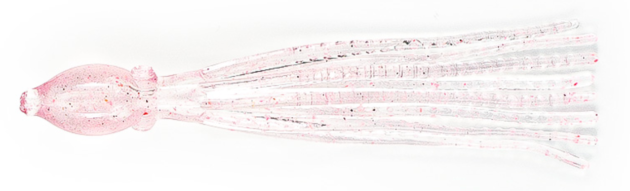 NIKKO Unrigged Octopus - 3.5"